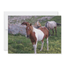 Indian Pony Invitation