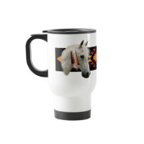 Indian Pony