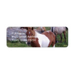 Indian Pony Return Address Label