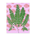 Indian Print Fern Pinks postcards