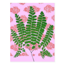 Indian Print Fern Pinks postcards