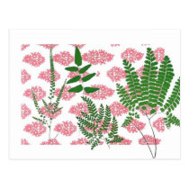 Indian Print Ferns on Pink postcards