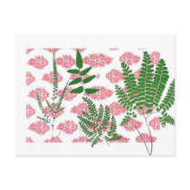 Indian Print Ferns on Pink postcards