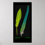 Indian Ringneck Parakeet feather &amp; bamboo leaf Poster
