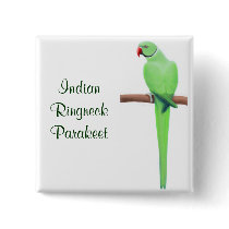 Indian Ringneck Parakeet Green buttons by twopurringcats Indian Ringneck Parakeet Green buttons