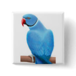 Indian Ringneck Parakeet Pin