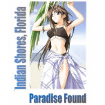 INDIAN SHORES FLORIDA t-shirts