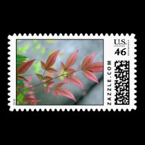 Indian Summer Morn postage