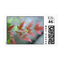 Indian Summer Morn Stamps