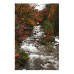 ontario, canada, indian, summer, river, creek,