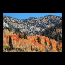 Indian Summer posters by Orchidlady Indian Summer posters