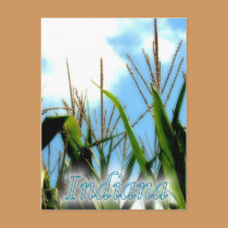 Indiana Corn postcards