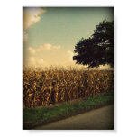 Indiana Corn posters