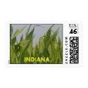 Indiana corn stamp by sharpcreations Indiana corn stamp