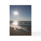 postcard - Beach at Indiana Dunes State Park