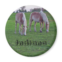 Indiana Horses magnets