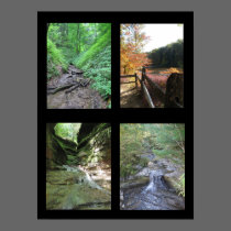 Indiana Natural Wonders Poster posters
