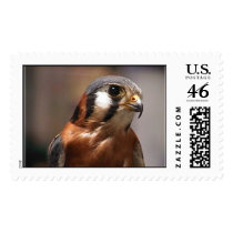 Indiana postage by Eye4birds Indiana postage