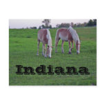 Indiana Post Cards