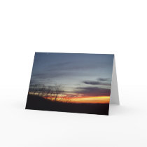 Indiana skies cards