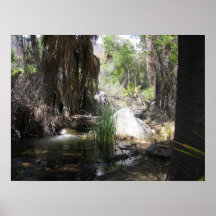 IndianCanyon (2) Poster