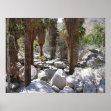 IndianCanyon (4) Poster