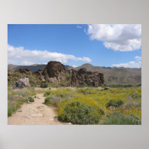 IndianCanyon (7) Poster