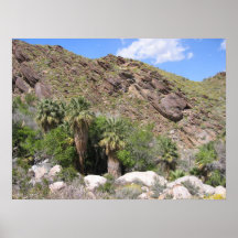 IndianCanyon (8) Print