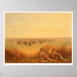Indians Creeping up on a Herd of Buffalo (1907A) Posters