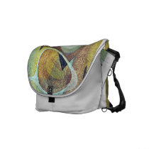 Indians in space #3 courier bags
