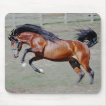 Indico VII Reaching Out Mousepad