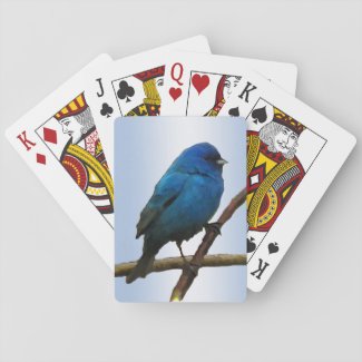Indigo Bunting Bird Playing Cards