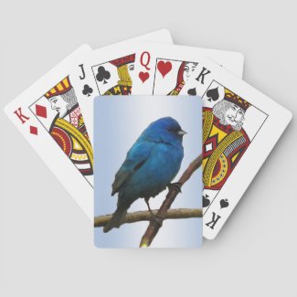 Indigo Bunting Bird Playing Cards