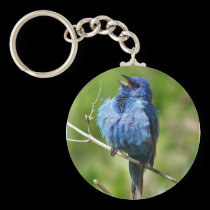 Indigo Bunting Keychain keychains