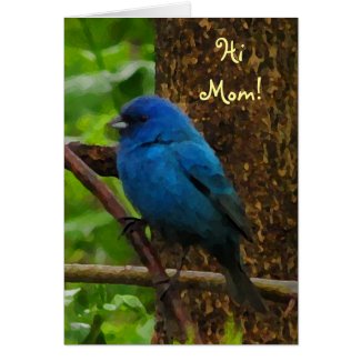 Indigo Bunting Mother's Day Card