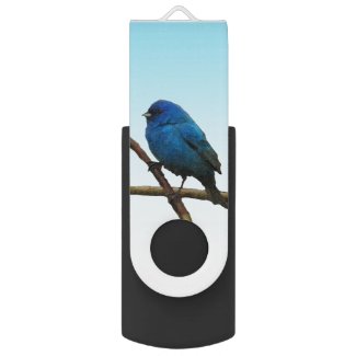 Indigo Bunting Swivel USB 2.0 Flash Drive