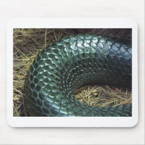 "Indigo Snake" Mousepad