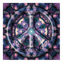 Indigo Wild Peace posters