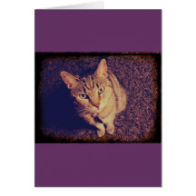 Indigo's Demand Greeting Cards