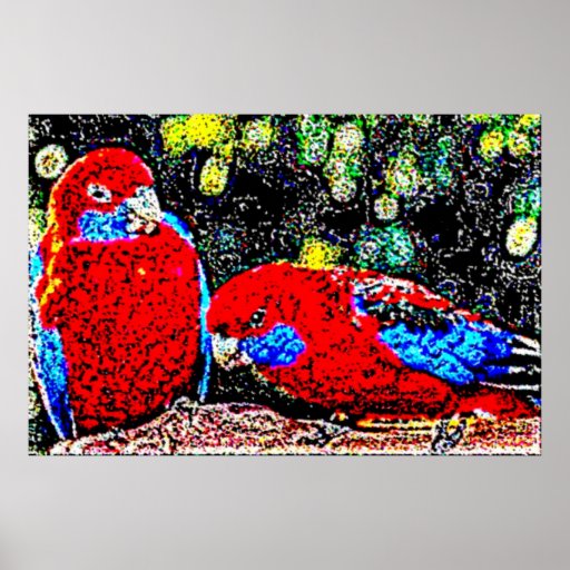 Individual Effects Birds Posters