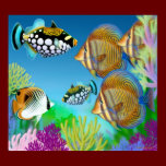 Indo-Pacific Coral Reef Fish Poster posters