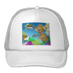 Indo Pacific Reef Fish Hat
