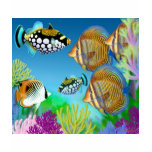 Indo Pacific Reef Fish Ladies Petite T-Shirt