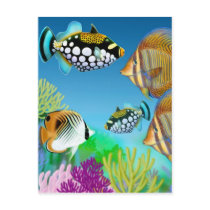 Indo Pacific Reef Fish Postcard