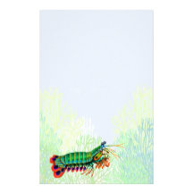 Indo Pacific Reef Mantis Shrimp Stationery