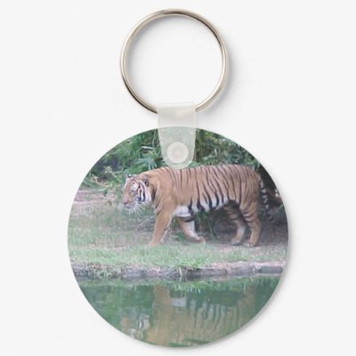 Indochinese Tiger Keychains by smilodonart
