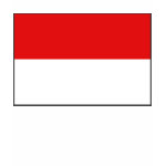 Indonesia Flag Map Spaghetti Top