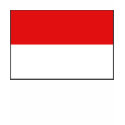 Indonesia Flag and Map T-Shirt