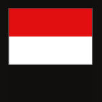 Indonesia Flag Map Spaghetti Top
