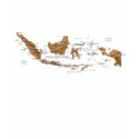 Indonesia Flag and Map T-Shirt